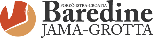 Baredine